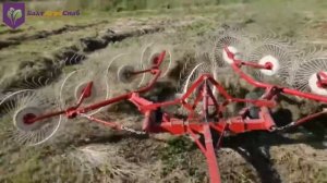 Грабли-ворошилки ГВВ-6м