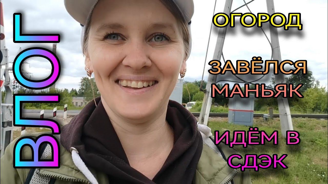 ВЛОГ. Завёлся маньяк, зажирели помидоры, в огороде всё растёт и мн. др. смотреть онлайн