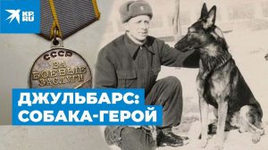 Джульбарс: собака-герой