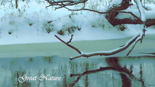 Релакс Видео Зима Пришла на Наши Реки. Зима Снег Природа. Relax Video Winter Has Came to Our Rivers