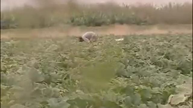 Villages on the Front Line - Jordan Part 2 of 3 смотреть онлайн