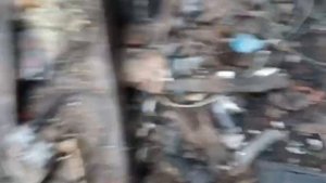 СТАЛК Находки (РЕАХОРДА-Пл 80%,самописец, КМ-ки, пп3-43, СЕРЕБРО, Медь)