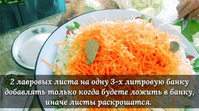 Рецепт засолки капусты с морковью на зиму. Как засолить капусту на зиму. смотреть онлайн