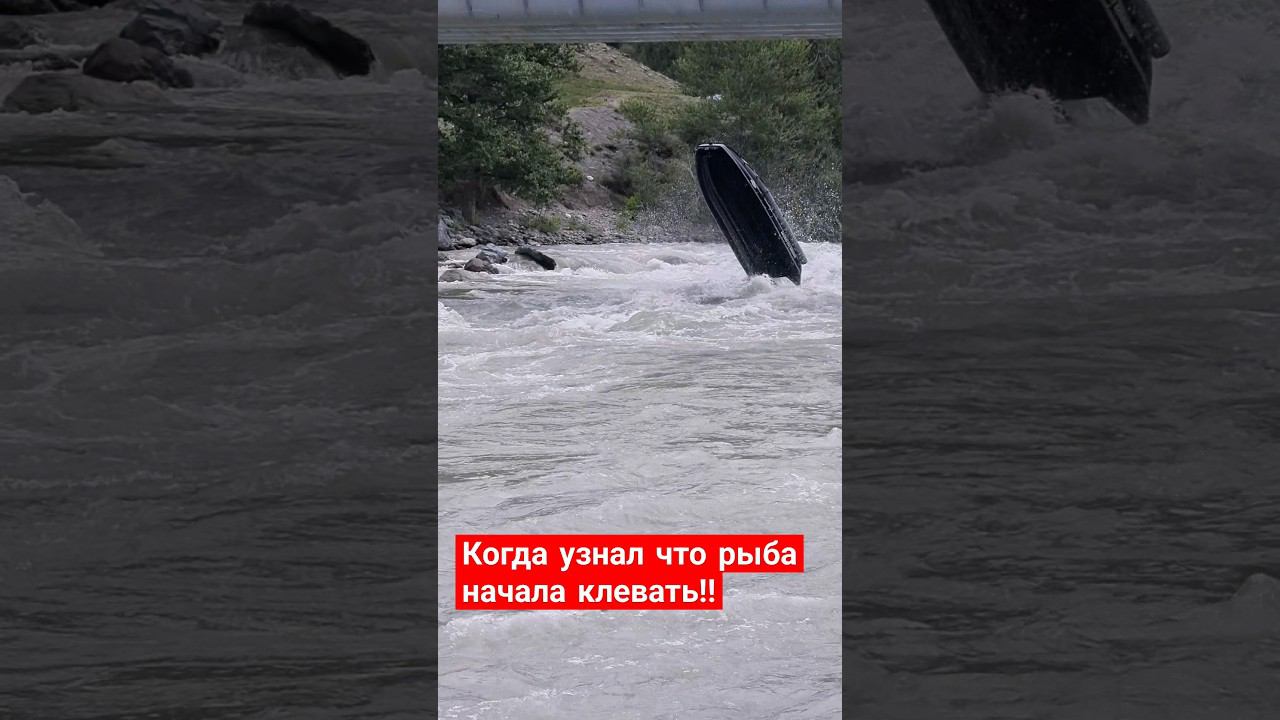 Момент когда узнал что карась пошел и срочно нужно быть!! #рыбалка #лодка #водомет #алтай смотреть онлайн