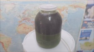 Сок ? лопуха. Изготовление, консервация спиртом и хранение. Arctium lappa L.