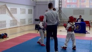 Соревнования по тхэквондо. Карим 8 лет. Спарринг. Пойнт. 1-е место