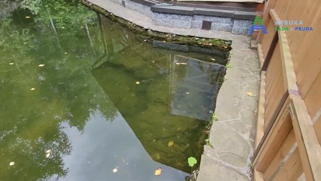 Микрозим ПондТрит результаты работы / Бактерии против водорослей / Чистый пруд смотреть онлайн