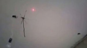 Лазерный отвес Bosch GPL 3