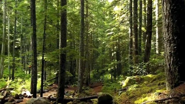 Гарри Поттер и Философский камень. смотреть онлайн