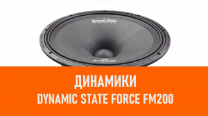 Распаковка динамиков Dynamic State FORCE FM200