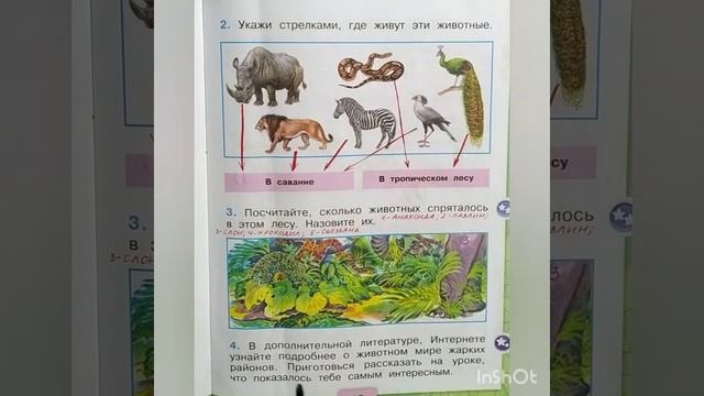 Окружающий мир 4 класс рабочая стр 48