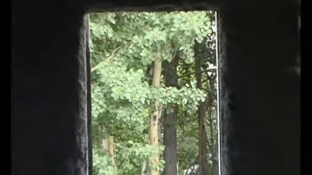 сюжет 'Чистый город' (2008-07) смотреть онлайн