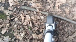 Покатушка в лесу на электросамокате Kugoo S3/ Кого я встретила в лесу?! ??