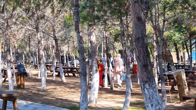 Зима на Кипре 2023 | Солнечный остров | Северный Кипр смотреть онлайн