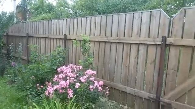 Забор после обработки мойкой,часть 3 смотреть онлайн