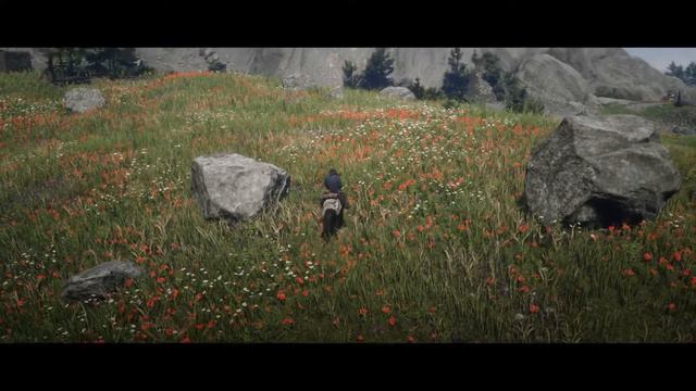 Red Dead Redemption 2 - Just enjoying the northern hills смотреть онлайн