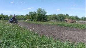 Трактор Русич Т15. Бороним картошку конными боронами.