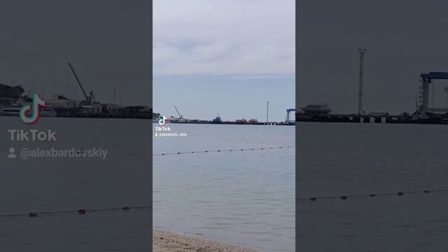 Анапа. Дельфины вызвали восторг приплыв на Центральный пляж. Май 2021 смотреть онлайн