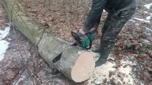 ??Бензопила Procraft-K450pro indastrial.Порізка клена.