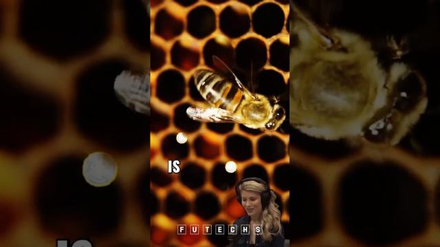 The Queen's Birth: Uncovering the Mysterious Origins of Bee Royalty #science #bee #biology #future