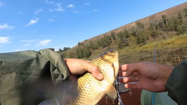 Ловля ЖЕЛТОБОКИХ карасей на ПОПЛАВОК,в зарослях травы ! Рыбалка с лодки.Август 2020 смотреть онлайн