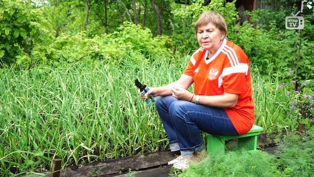 Стрелки Чеснока - Польза и Вред ✔️ Урожайный огород смотреть онлайн