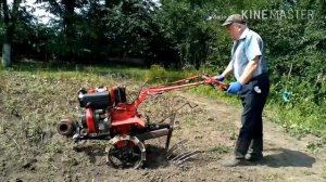 Мотоблок на огороде