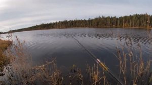 Осенняя рыбалка в Карелии на поплавочную удочку.