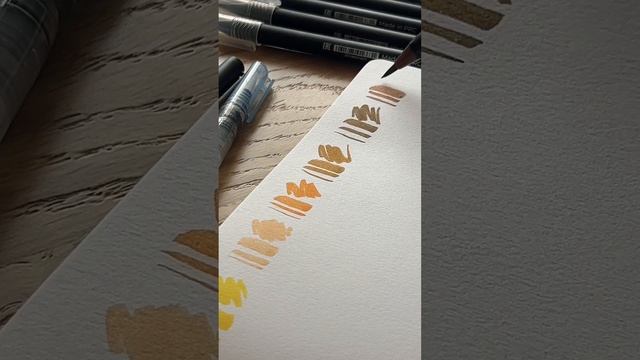 Обзор акварельных маркеров Collart