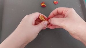 Clivia seeds|Клівія|Кливия|Долгожданные семенные коробочки!🥳