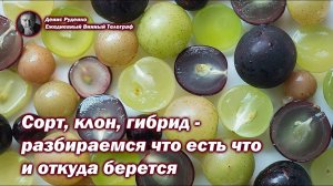 Сорт, клон, гибрид - разбираемся что есть что и откуда берется