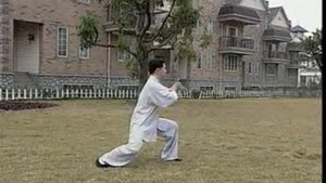 6-9 формы медленно из Тайцзи 24 формы. Tai Chi The 24 Forms (6-9) Slow. Учебный ролик 2.2/4.