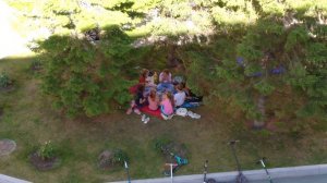 Маленькие дети повторяют за взрослыми