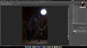Как это снято и обработано? Снимаем лошадей!