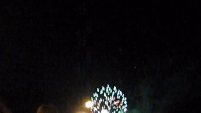 Petunia Fest Fireworks смотреть онлайн