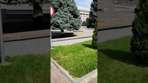 Бишкек. Киргизия.