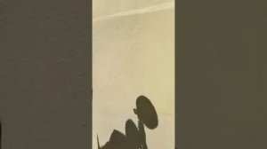 Видео 2. Процесс нанесения материала FIRST BS100EM