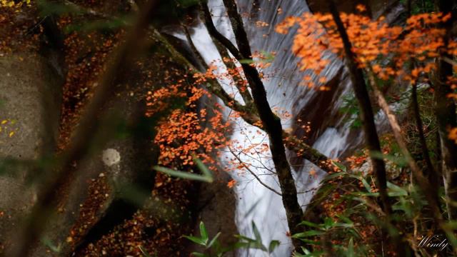 Francis Poulenc, Sonata for Flute and Piano смотреть онлайн
