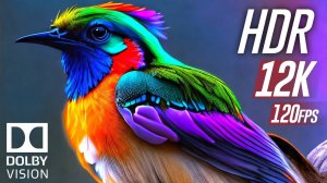 Цвета в Dolby Vision HDR 12K 120fps