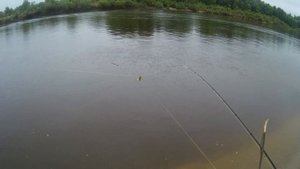 Кормушка Megatex Развод на деньги