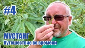Тибетский буддизм Бон и язычество в Кагбени - МУСТАНГ: Путешествие во времени #4