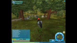 Star Stable: Секрет Вэлдейла, тайный портал? Тайна которую не раскрыли ещё многие Star Rider!)