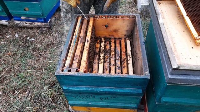 многокорпусной улей, сокращение гнезда в зиму, как помочь пчелам смотреть онлайн