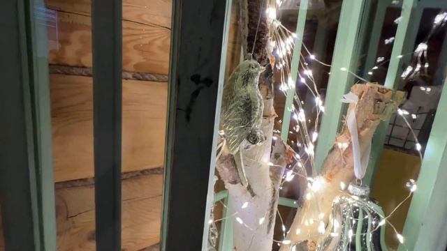 С Новым 2023 годом! Зимний сад и уютный дом! смотреть онлайн