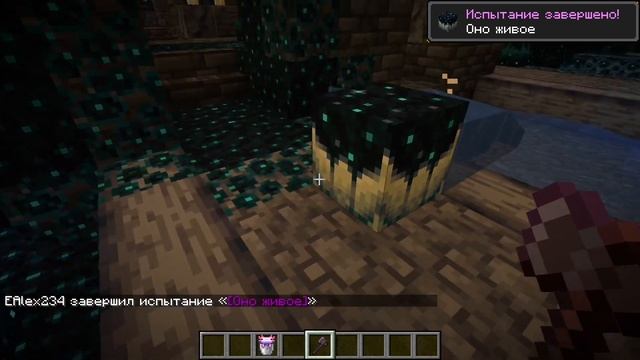 Обзор версии Minecraft 1.19￼ смотреть онлайн