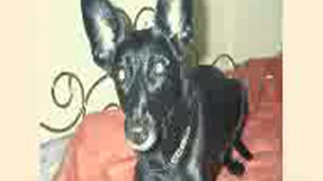 MIX-103 - Ruback,Class-A, Suntree,Metronome,Mindwave u.v.a.(SET BY DJ HELMIC - 25.01.2015) смотреть онлайн