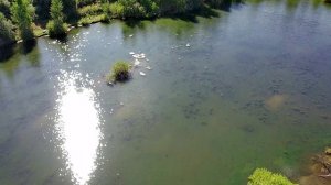 Новая локация, для рыбалки...