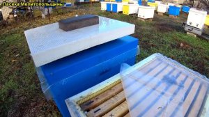 Ответы на вопросы по фальцам ЭППС улья