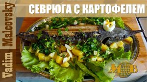 Севрюга  в духовке с картофелем. Рецепт.  Мальковский Вадим
