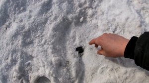 коп в снегу , поиск ключей от автомобиля